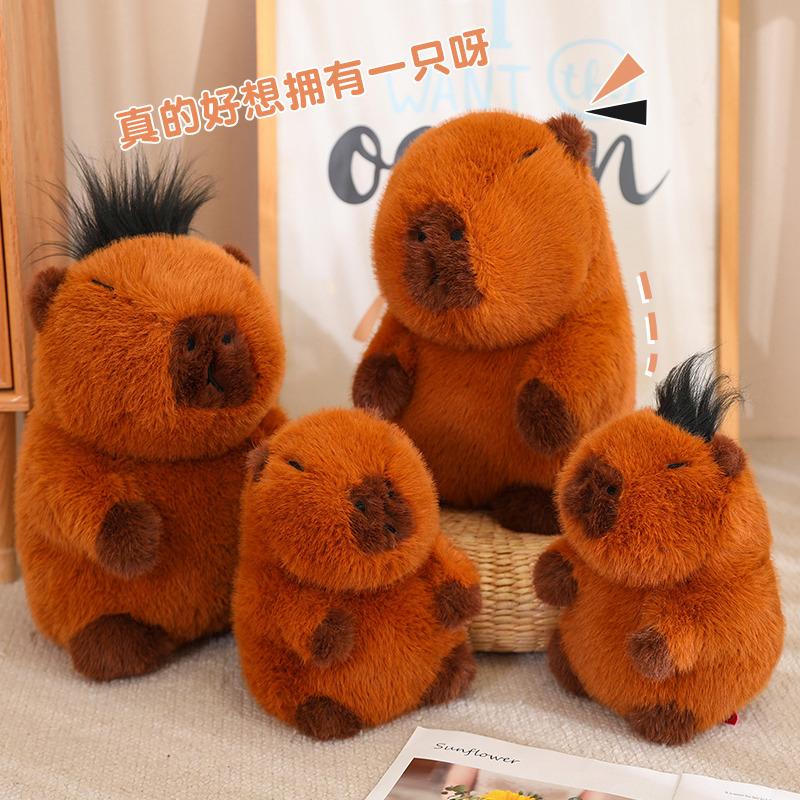 Spot Cross-BordercapybaraWater Морская свинка Плюшевая кукла Симпатичная кукла Капабала Сувенир из зоопарка
Spot Cross-BordercapybaraWater Морская свинка Плюшевая кукла Симпатичная кукла Капабала Сувенир из зоопарка