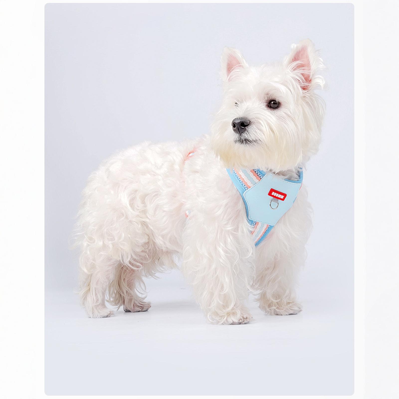 H Shape Dog for Small and Medium Dogs, No Pull &, Escape-proff, Soft Mesh Vest, Adjustable Fit XS синій
H Shape Dog for Small and Medium Dogs, No Pull &, Escape-proff, Soft Mesh Vest, Adjustable Fit XS синій