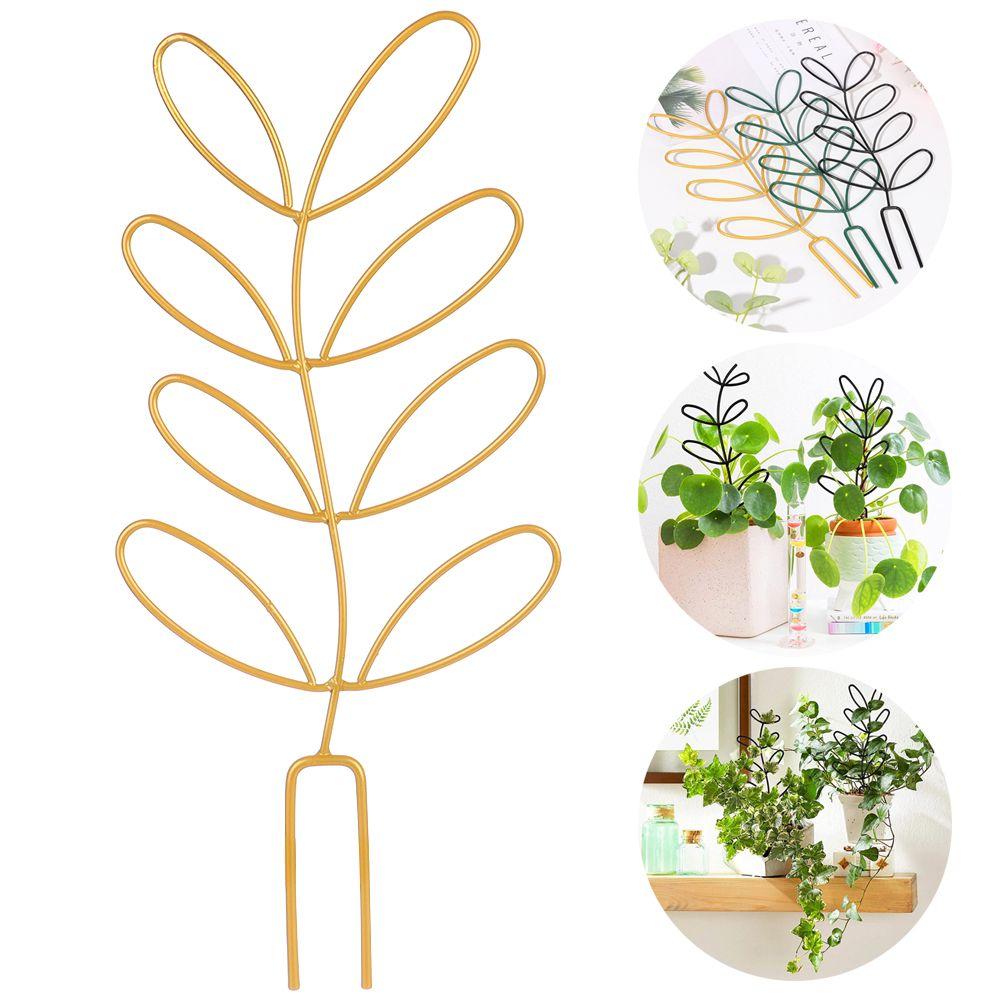 Ornamental Frame Vine Climbing Support Plant Trellis Leaf Shape Bracket Garden Arrangement чорний
Ornamental Frame Vine Climbing Support Plant Trellis Leaf Shape Bracket Garden Arrangement чорний