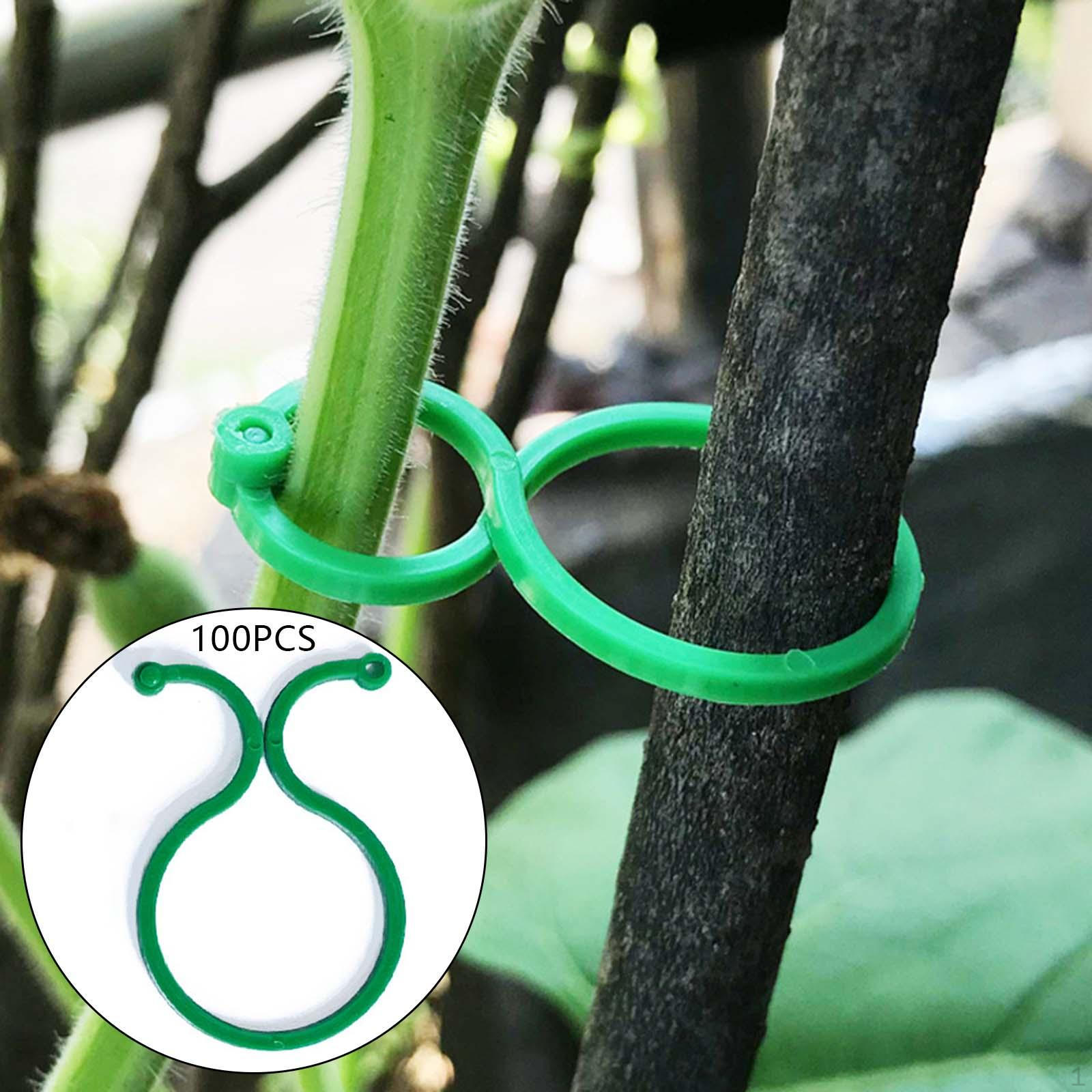 100 шт. Зажимы для растений, фиксирующие зажимы, многоразовые устройства, универсальное использование в саду Large
100 шт. Зажимы для растений, фиксирующие зажимы, многоразовые устройства, универсальное использование в саду Large