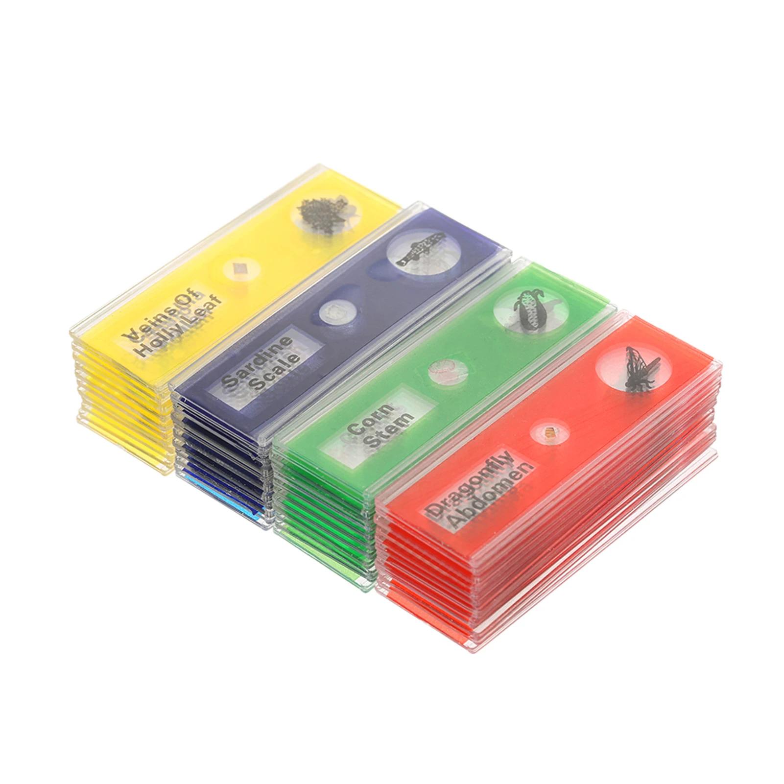 35/48 штук предметных стекол микроскопа, биологические препараты, цифровые препараты для микроскопа, подарки для начальной и средней школы
35/48 штук предметных стекол микроскопа, биологические препараты, цифровые препараты для микроскопа, подарки для начальной и средней школы