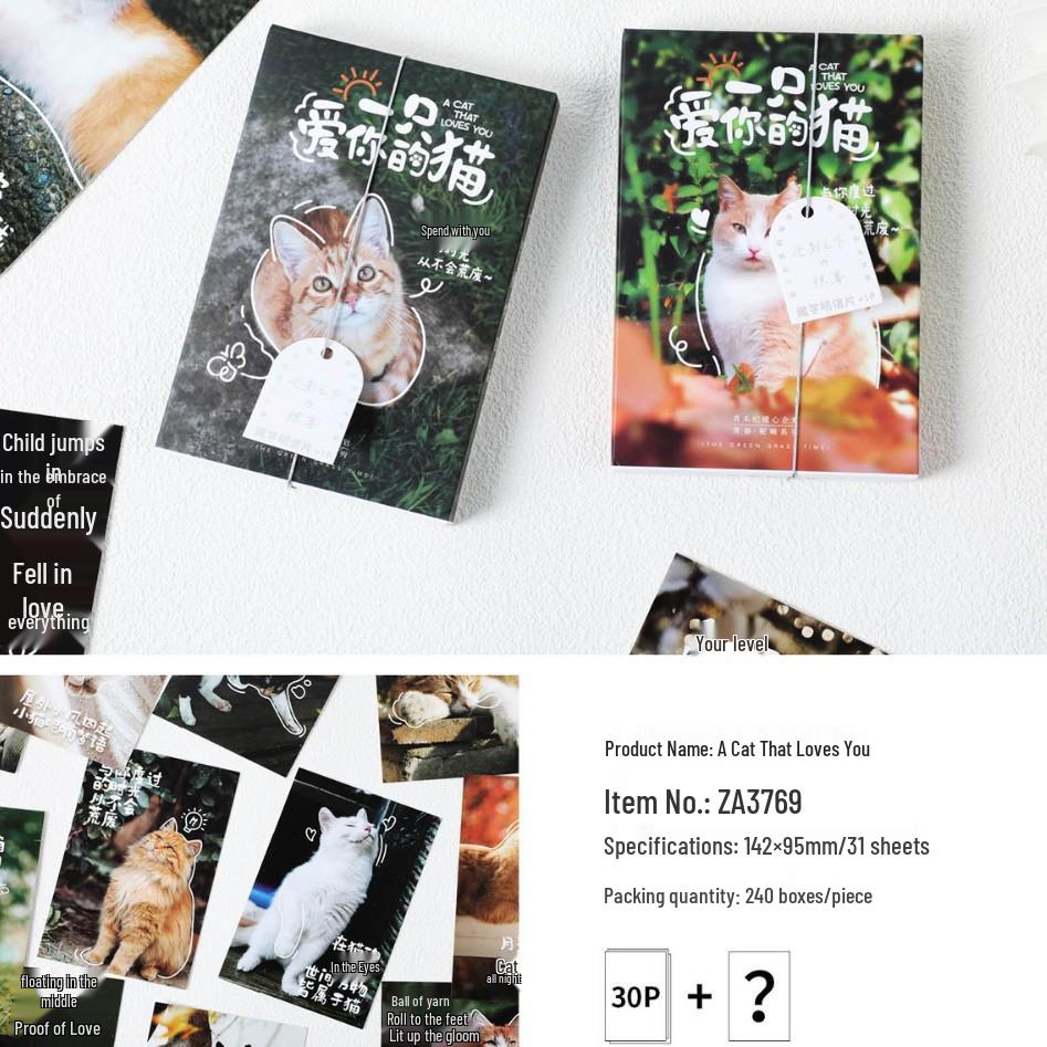 30 Adorable Cat-Themed Decorative Message Cards for Your Wall
30 Adorable Cat-Themed Decorative Message Cards for Your Wall