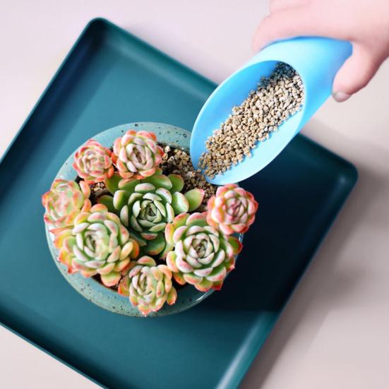 Yousheng 6 Pcs Gardening Soil Scoops Mini Potting Scoops Funnel Design Transplanting Scoops Garden Shovels for Succulents Flowers 6pcs
Yousheng 6 Pcs Gardening Soil Scoops Mini Potting Scoops Funnel Design Transplanting Scoops Garden Shovels for Succulents Flowers 6pcs