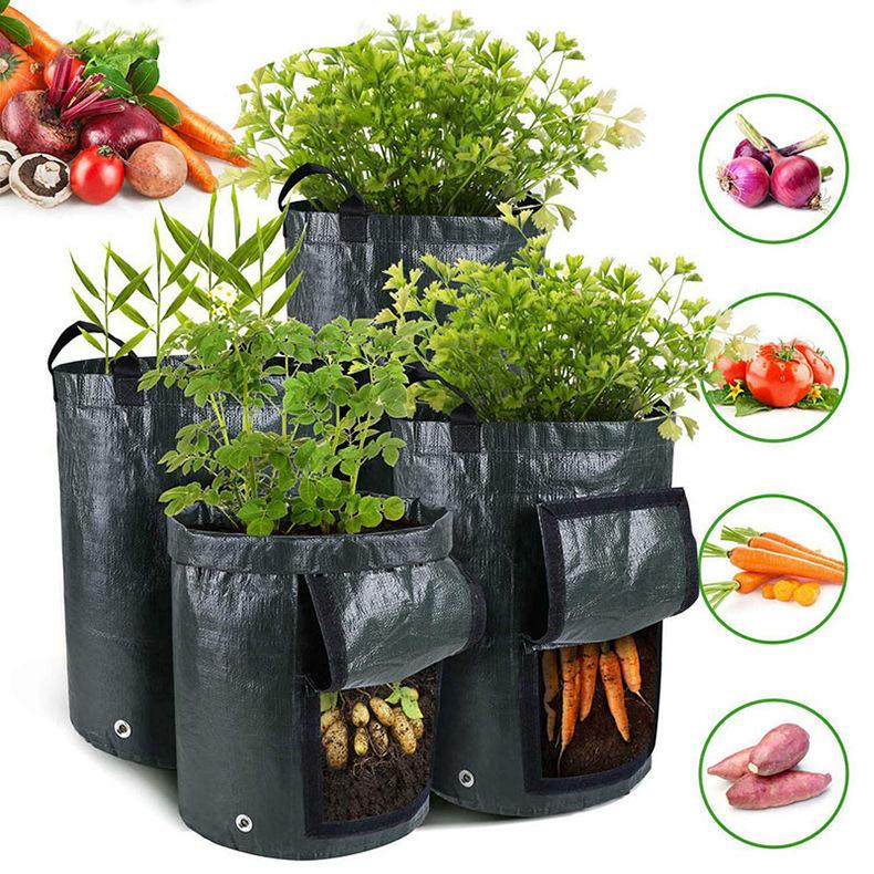 1 дышащий полиэтиленовый мешок для посадки картофеля с окном 3 gallon(25*22cm)
1 дышащий полиэтиленовый мешок для посадки картофеля с окном 3 gallon(25*22cm)