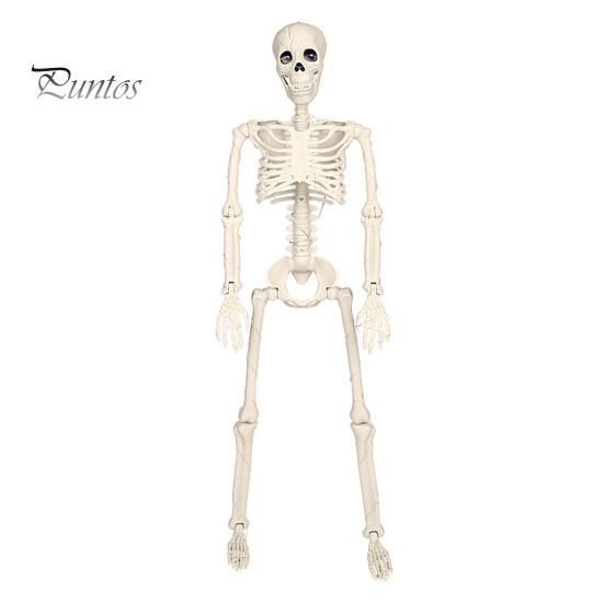 Украшение скелета на Хэллоуин, реалистичная модель структуры человеческих костей, пластиковая сочлененная статуя скелета для двора, сада, дома с привидениями A
Украшение скелета на Хэллоуин, реалистичная модель структуры человеческих костей, пластиковая сочлененная статуя скелета для двора, сада, дома с привидениями A