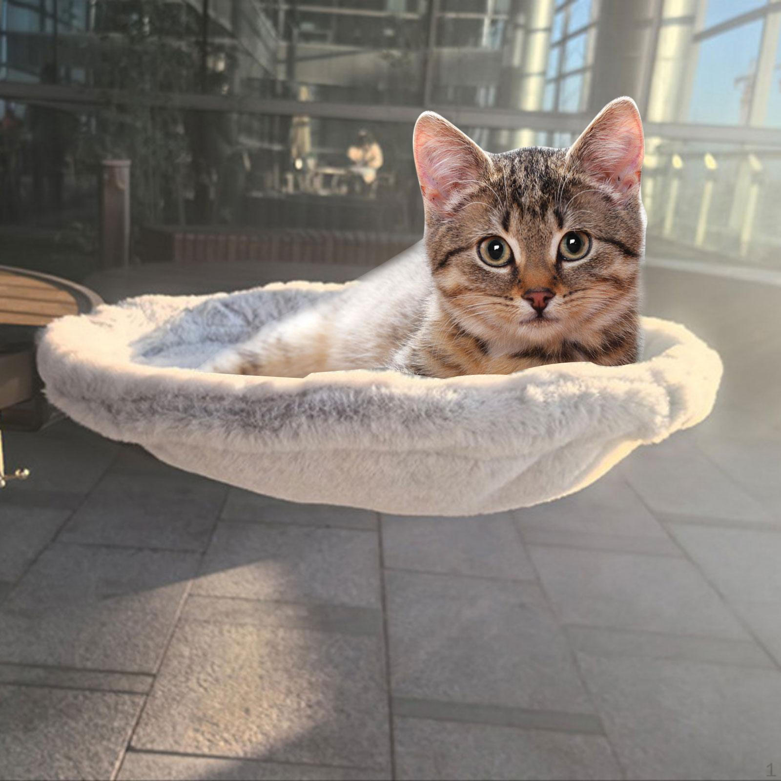 Кошачий стол, кровать, насест, моющийся, простая установка, полка, гамак для дома серый
Кошачий стол, кровать, насест, моющийся, простая установка, полка, гамак для дома серый