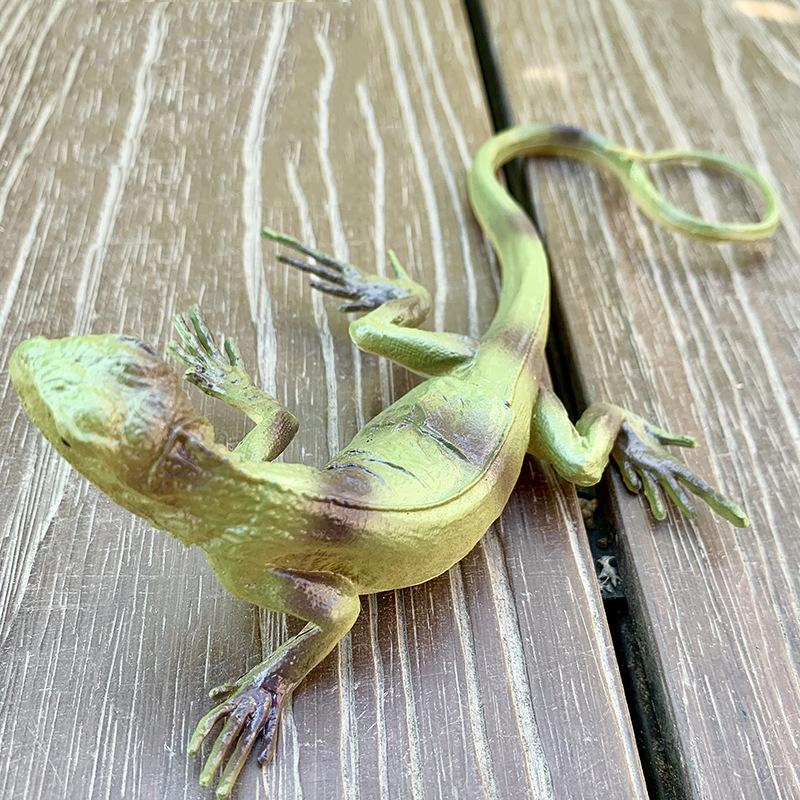 Large sized insect animal simulation model, spider, locust, scorpion, ant, unicorn fairy, children s educational cognitive ornam
Large sized insect animal simulation model, spider, locust, scorpion, ant, unicorn fairy, children s educational cognitive ornam