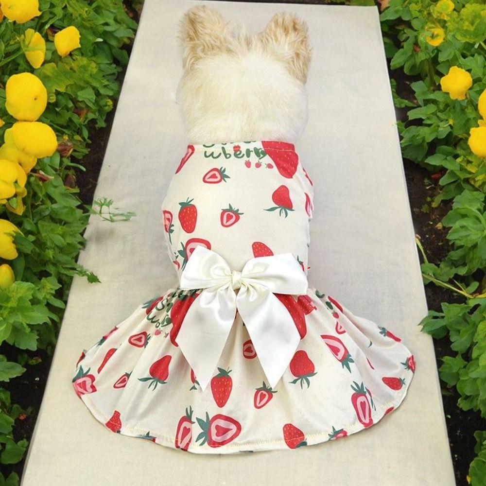 Cute Dog Fruit Print Dress Breathable Pet Princess Dress Charming Pet Bowknot Skirt Pet Clothes S-Style 1
Cute Dog Fruit Print Dress Breathable Pet Princess Dress Charming Pet Bowknot Skirt Pet Clothes S-Style 1