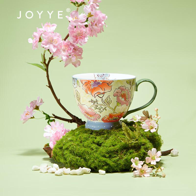 JOYYE Underglaze Hand-painted Floral Ceramic Mug
JOYYE Underglaze Hand-painted Floral Ceramic Mug