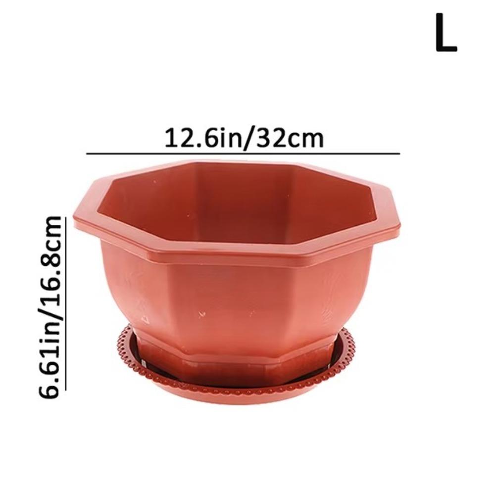 с поддоном Пластиковые горшки для цветов Контейнер для выращивания растений Домашнее садовое украшение L
с поддоном Пластиковые горшки для цветов Контейнер для выращивания растений Домашнее садовое украшение L