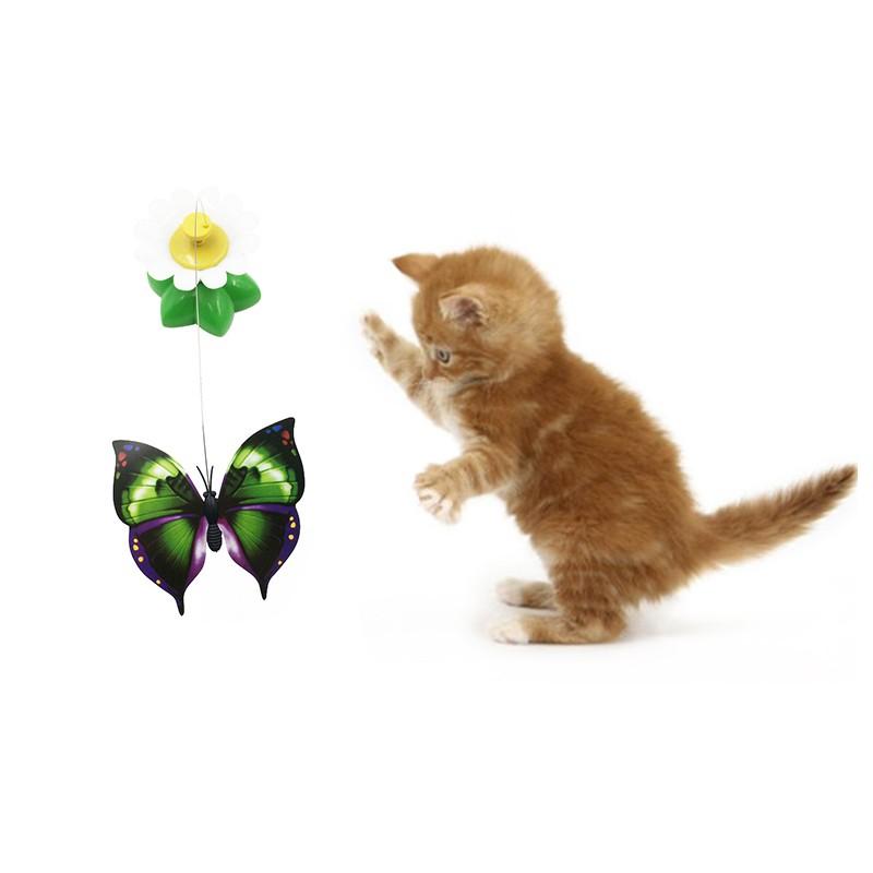 Cat Toy Electric Rotating Colorful Butterfly Bird Funny Dog Cat Toys Pet Seat Scratch Toy Pet Dog Cat Intelligence Trainning Toy
Cat Toy Electric Rotating Colorful Butterfly Bird Funny Dog Cat Toys Pet Seat Scratch Toy Pet Dog Cat Intelligence Trainning Toy