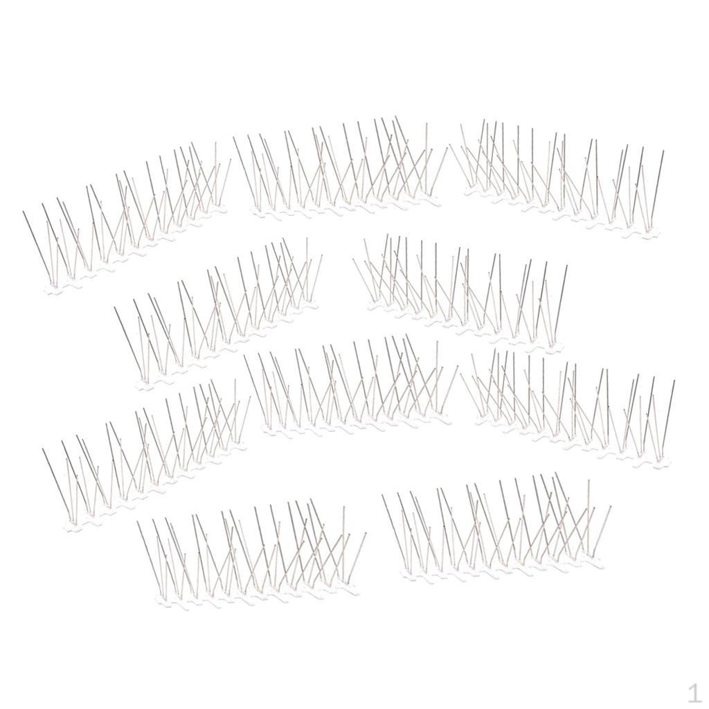 Stainless Steel Birds Control Spikes Pigeons for A
Stainless Steel Birds Control Spikes Pigeons for A