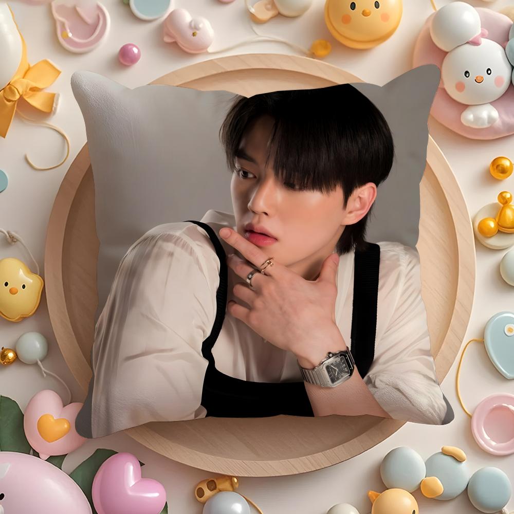 Korean actor S-Song K-Kang Cushion Cover Home & Car Multi-Scene Pillow Cover - Reversible, Soft & Durable for Daily Use 30cmx30cm
Korean actor S-Song K-Kang Cushion Cover Home & Car Multi-Scene Pillow Cover - Reversible, Soft & Durable for Daily Use 30cmx30cm