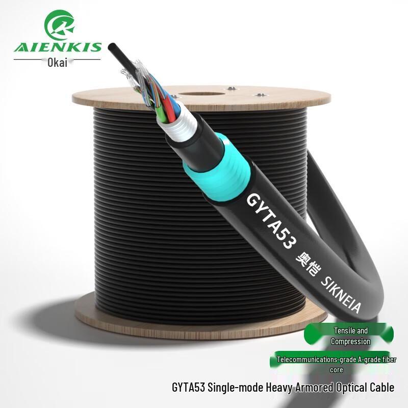 AIENKIS AK-GYTA53 24-Core Armored Single-Mode Outdoor Fiber Optic Cable
AIENKIS AK-GYTA53 24-Core Armored Single-Mode Outdoor Fiber Optic Cable