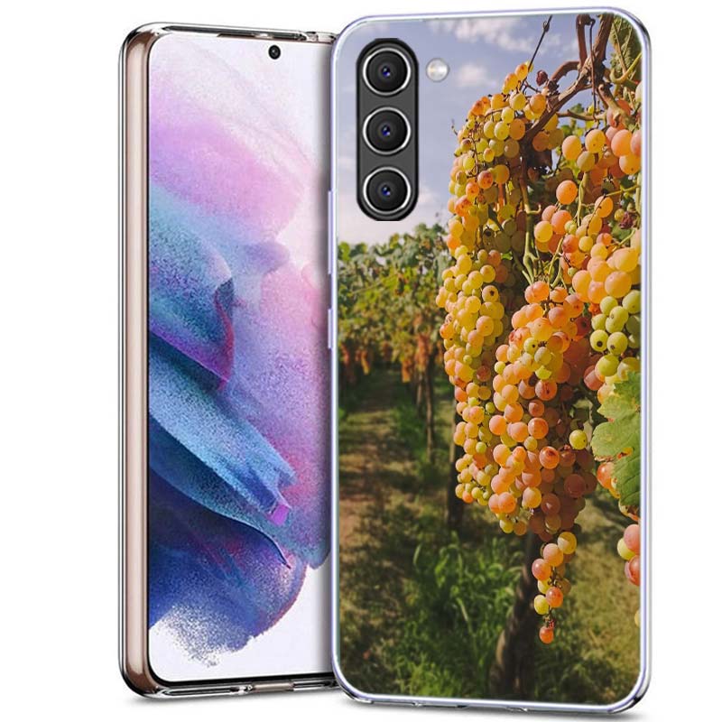 A Bunch of Grapes in the Vineyard Phone Case for Samsung A54 A14 A24 A34 A17 A37 A57 A55 A35 A25 A15 A13 A23 A33 A53 A07 A05S A0 Samsung A33
A Bunch of Grapes in the Vineyard Phone Case for Samsung A54 A14 A24 A34 A17 A37 A57 A55 A35 A25 A15 A13 A23 A33 A53 A07 A05S A0 Samsung A33