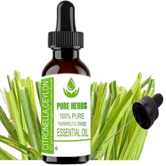 Pure Herbs Citronella,Ceylon (Cymbopogon Nardus L.) Pure & Natural Therapeutic Grade Essential Oil Plastic with Dropper 10 ml
Pure Herbs Citronella,Ceylon (Cymbopogon Nardus L.) Pure & Natural Therapeutic Grade Essential Oil Plastic with Dropper 10 ml