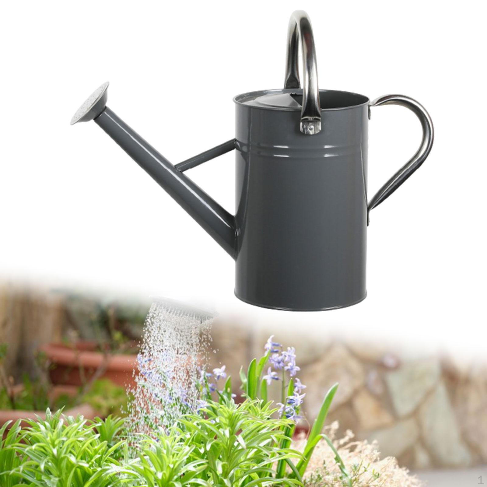 5L Watering Can for Indoor And Outdoor Plants, Decorative, Sturdy Construction, Stainless Steel сірий колір
5L Watering Can for Indoor And Outdoor Plants, Decorative, Sturdy Construction, Stainless Steel сірий колір