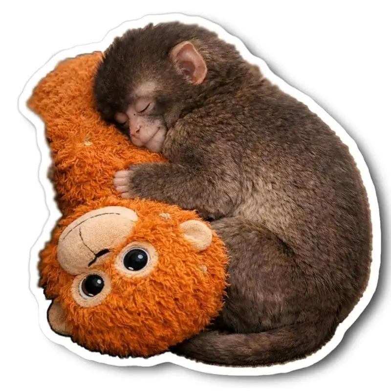 Cute Punch The Monkey Aesthetic Sticker Animation Plush Monkey Stickers Household Decorat For Diy Handwork Mobile Phone Case Scrapbook 4PCS
Cute Punch The Monkey Aesthetic Sticker Animation Plush Monkey Stickers Household Decorat For Diy Handwork Mobile Phone Case Scrapbook 4PCS