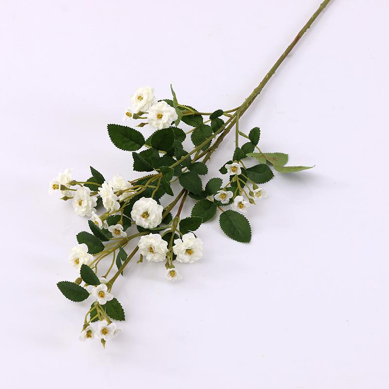 Simulated rose flower single branch home interior decoration fake flower photography photo props rose flower multi-headed small rose белый
Simulated rose flower single branch home interior decoration fake flower photography photo props rose flower multi-headed small rose белый