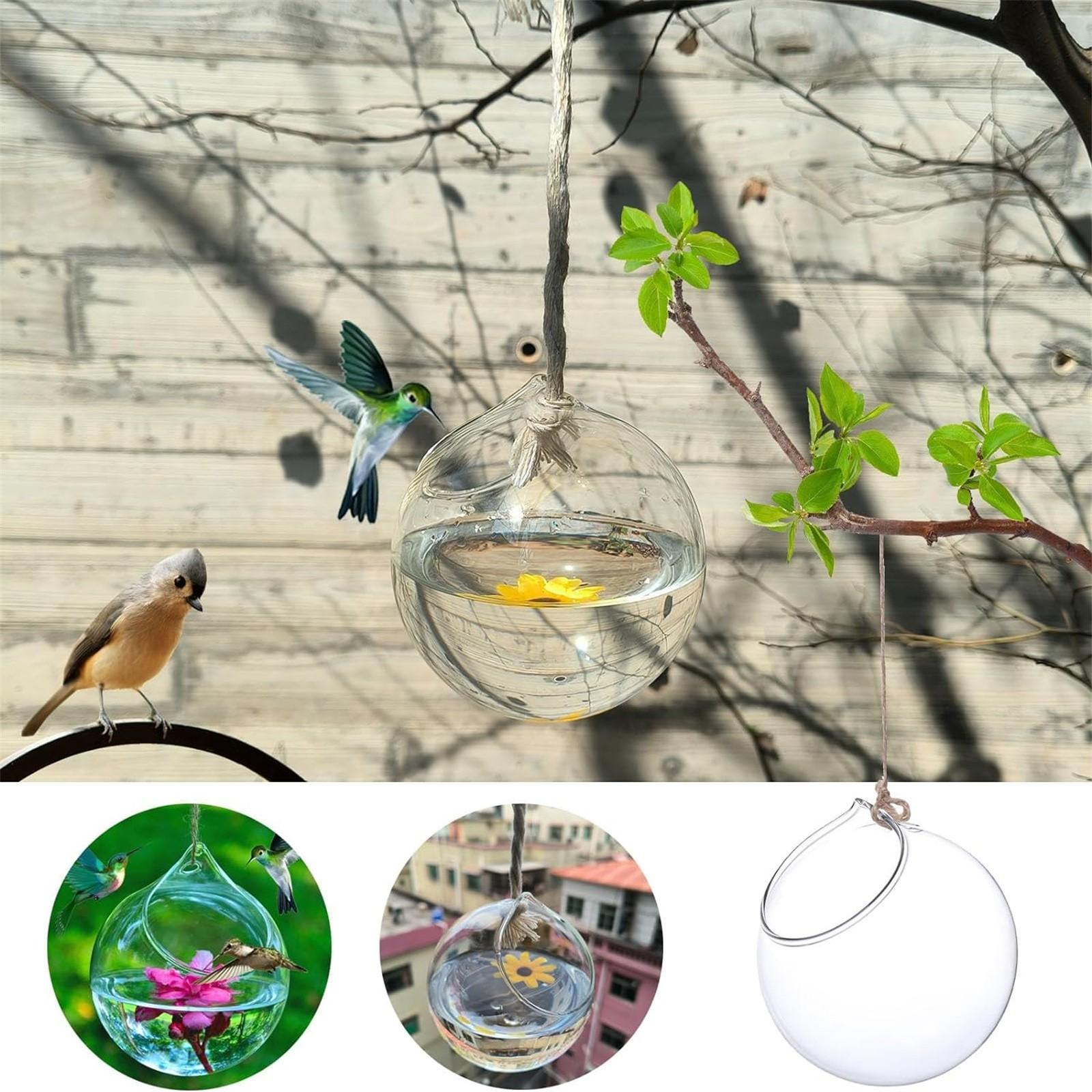 Creative Clear Hanging Ball Glass Flowerpot Office Garden Decor Flower Planter Vase Terrarium Container Landscape Bottles One Size белый
Creative Clear Hanging Ball Glass Flowerpot Office Garden Decor Flower Planter Vase Terrarium Container Landscape Bottles One Size белый