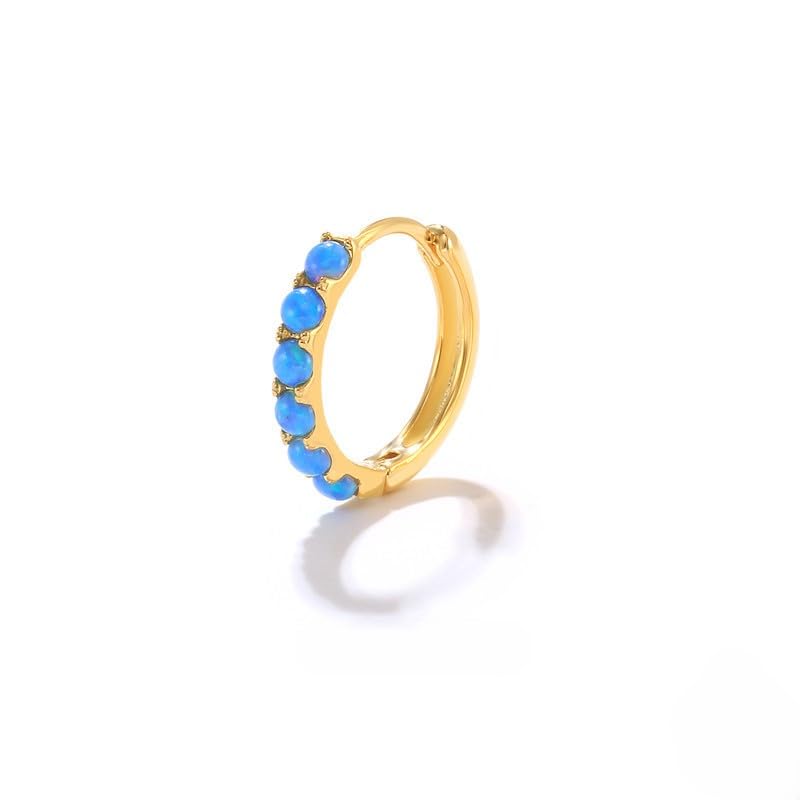 Rockyu earrings ladies silver 925 gold hoop earrings 6mm 8mm 10mm opal blue/white Small size everyday use birthday present (Blue-10mm)
Rockyu earrings ladies silver 925 gold hoop earrings 6mm 8mm 10mm opal blue/white Small size everyday use birthday present (Blue-10mm)