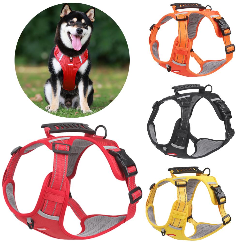 Набор поводков для домашних животных для маленьких, средних и больших собак Светоотражающий нагрудный жилет для щенков без тяги Шлейка для кошек из дышащей сетки Прогулочные нагрудные ремни Товары для домашних животных
Набор поводков для домашних животных для маленьких, средних и больших собак Светоотражающий нагрудный жилет для щенков без тяги Шлейка для кошек из дышащей сетки Прогулочные нагрудные ремни Товары для домашних животных