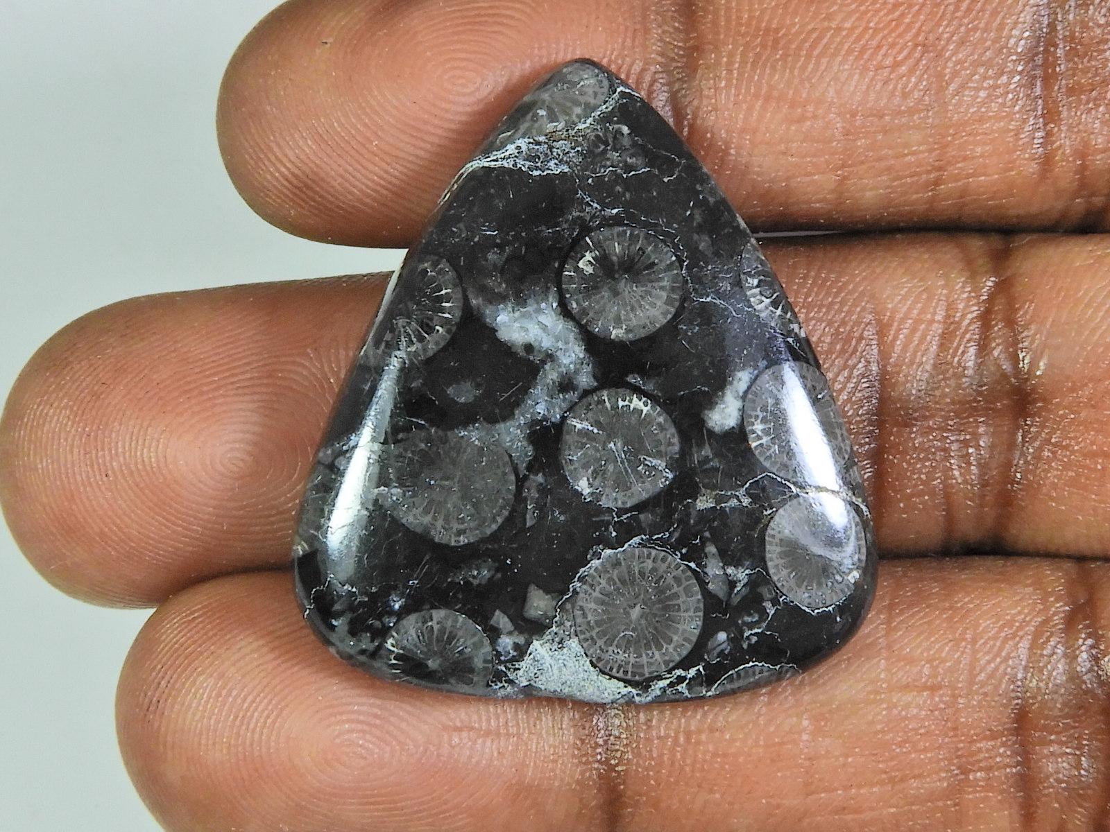 AA++ 51Cts.Natural Black Fossil Coral Pear Cabochon Loose Gemstone 30X34X6MM ET-293
AA++ 51Cts.Natural Black Fossil Coral Pear Cabochon Loose Gemstone 30X34X6MM ET-293