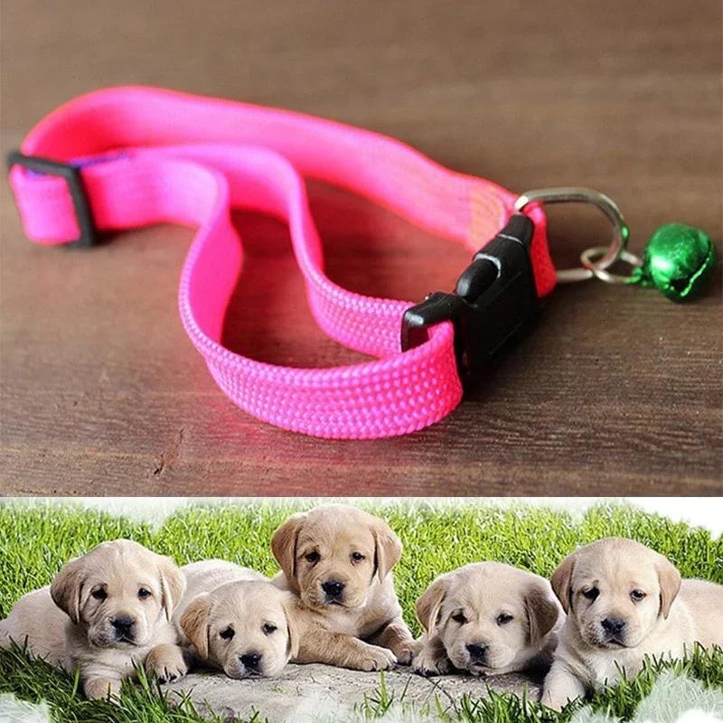 Random Candy Color Quick Release Collar Pet Dog and Cat Nylon with Bell Adjustable Leash Accessory 1 Pc
Random Candy Color Quick Release Collar Pet Dog and Cat Nylon with Bell Adjustable Leash Accessory 1 Pc