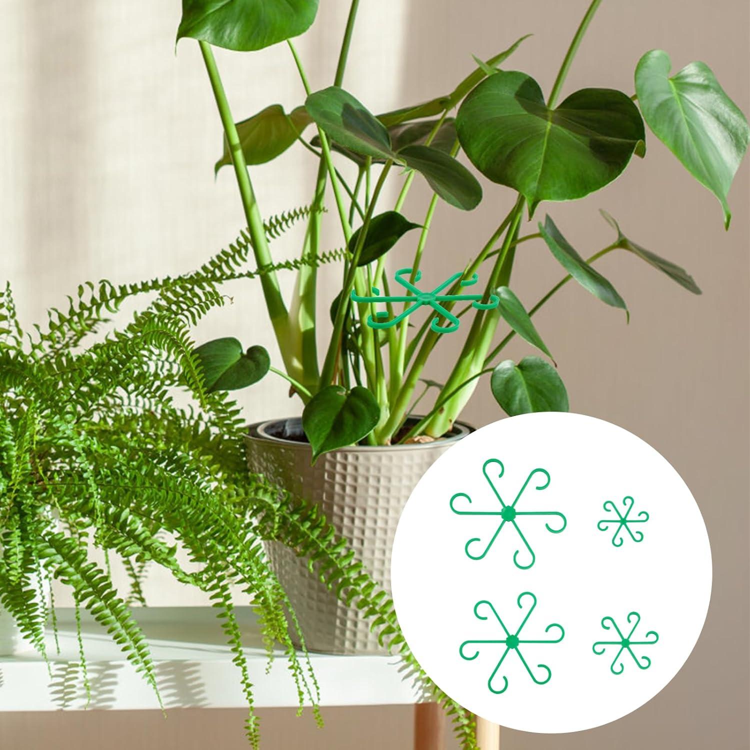 4 шт. опоры для стеблей вьющихся комнатных растений, пластиковые держатели для стеблей вьющихся растений, многоразовые колышки для цветочных растений, крючок для стеблей, для выращивания M
4 шт. опоры для стеблей вьющихся комнатных растений, пластиковые держатели для стеблей вьющихся растений, многоразовые колышки для цветочных растений, крючок для стеблей, для выращивания M