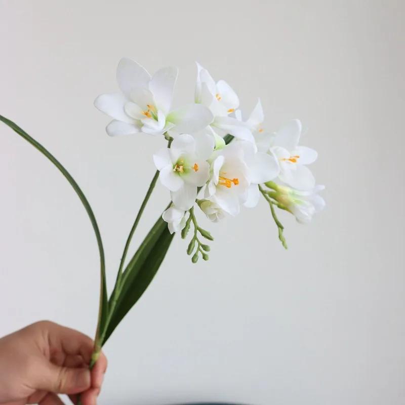3pc Artificial Vanilla Orchid Flower Hand Feel Moisturizing Wedding Party Floral Arrangements Home Table Decor 3D 2 Branches 3pc білий
3pc Artificial Vanilla Orchid Flower Hand Feel Moisturizing Wedding Party Floral Arrangements Home Table Decor 3D 2 Branches 3pc білий