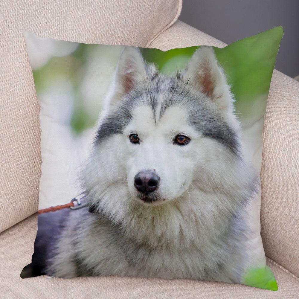 Decor Cute Siberian Husky Pillowcase Pet Dog Printed Super Soft Short Plush Pillow Case 45*45cm Animal Cushion Cover for Sofa 16x16in 40x40cm
Decor Cute Siberian Husky Pillowcase Pet Dog Printed Super Soft Short Plush Pillow Case 45*45cm Animal Cushion Cover for Sofa 16x16in 40x40cm