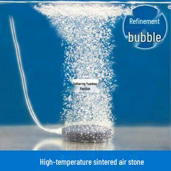 Fish Pond Oxygenator Venturi Tube Bubble Maker
Fish Pond Oxygenator Venturi Tube Bubble Maker