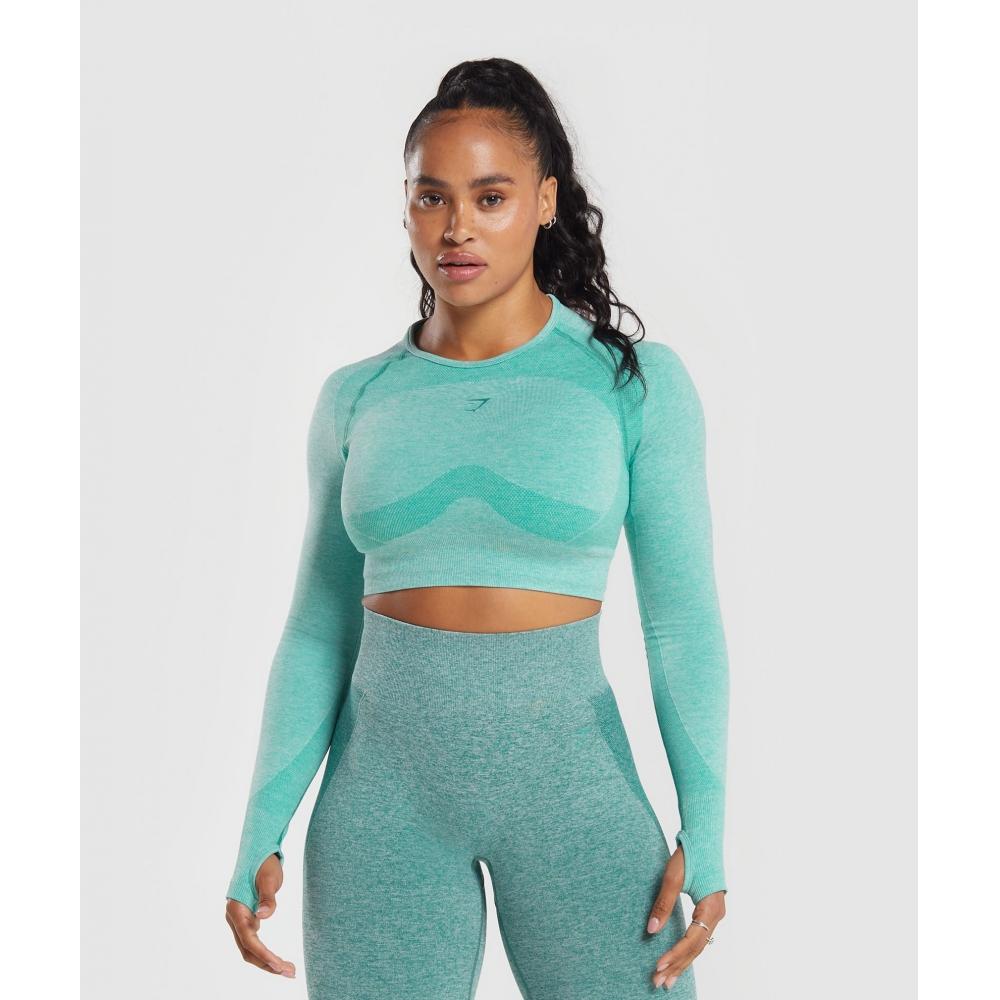 Укороченный топ GYMSHARK Flex с длинными рукавами Василеково-белый меланжево-зеленый B1A3L UB2J
Укороченный топ GYMSHARK Flex с длинными рукавами Василеково-белый меланжево-зеленый B1A3L UB2J