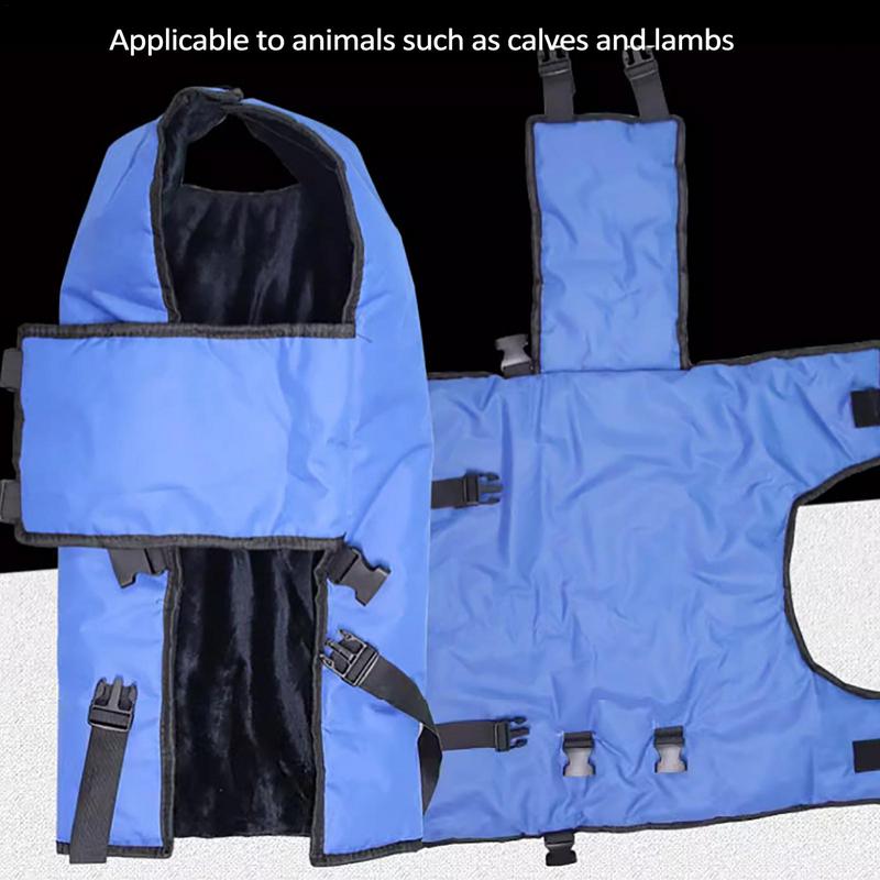 Одеяло для теленка Синее Водонепроницаемое Защитное одеяло для скота Мягкое Оксфорд Ветрозащитное Куртка-грелка для теленка Утолщенное Пальто для защиты теленка CHINA
Одеяло для теленка Синее Водонепроницаемое Защитное одеяло для скота Мягкое Оксфорд Ветрозащитное Куртка-грелка для теленка Утолщенное Пальто для защиты теленка CHINA