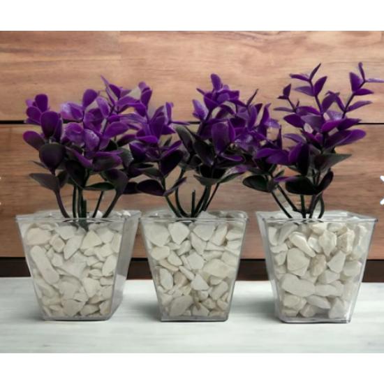 Special Design DIY 3-Piece Cubic Flowerpot with Decorative Stone Detail Purple-Green Eucalyptus
Special Design DIY 3-Piece Cubic Flowerpot with Decorative Stone Detail Purple-Green Eucalyptus