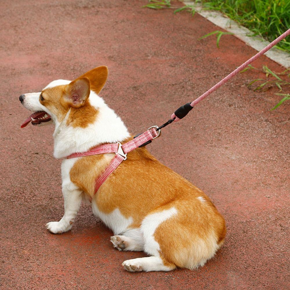 Lightweight Pet Chest Strap Escape Proof Cat Collar Lead Leash Dog Harness and Leash Set Outdoor S сірий
Lightweight Pet Chest Strap Escape Proof Cat Collar Lead Leash Dog Harness and Leash Set Outdoor S сірий
