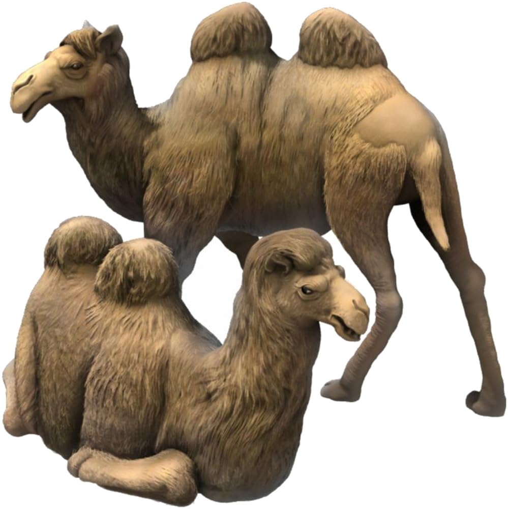 CMK Resin Scale 3D Printed Bactrian Camel Kit CMF48401 1/48 (2 Camels)
CMK Resin Scale 3D Printed Bactrian Camel Kit CMF48401 1/48 (2 Camels)