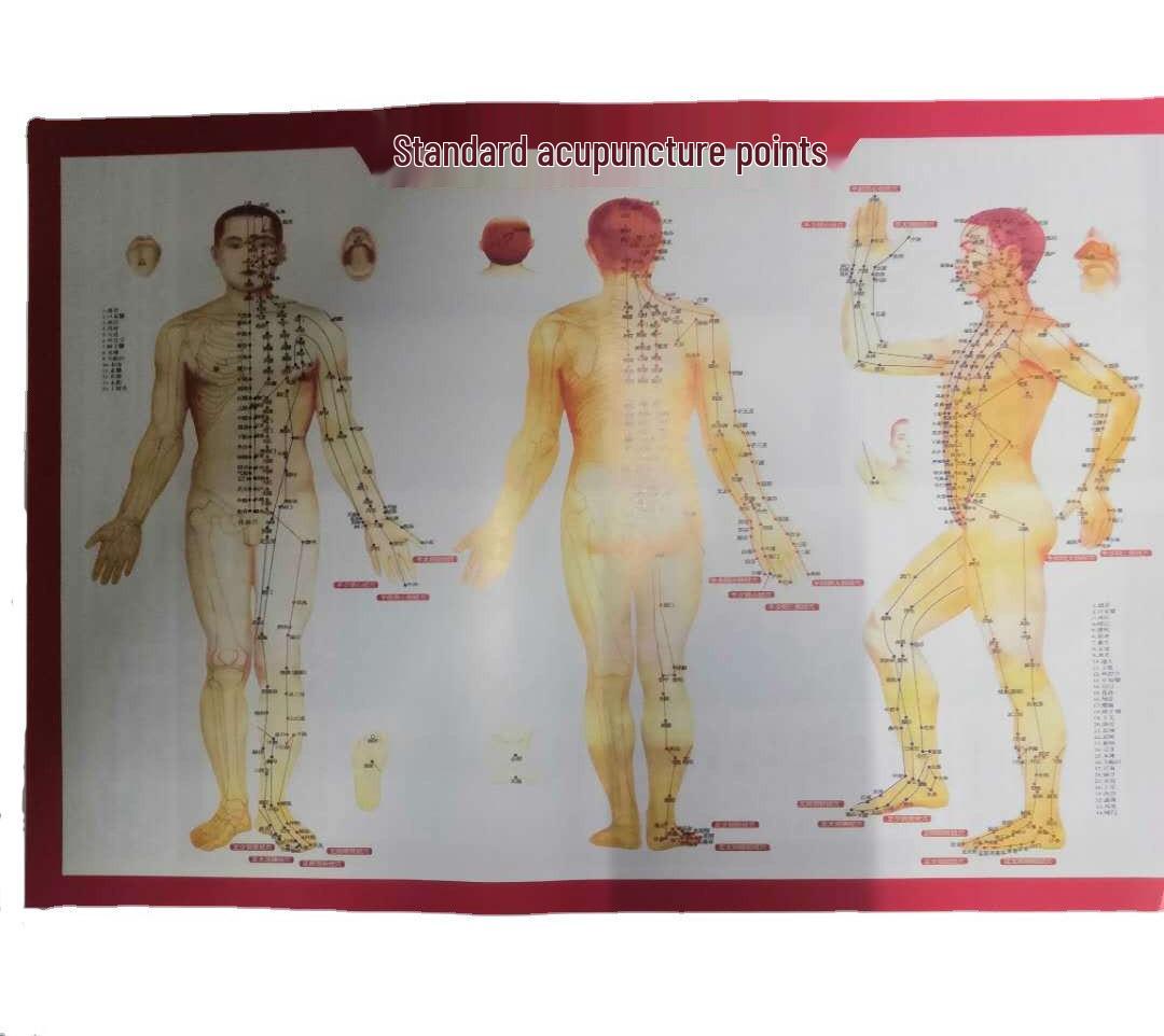 Сильная магнитная щетка для меридианного массажа с эфирными маслами по пяти элементам
Сильная магнитная щетка для меридианного массажа с эфирными маслами по пяти элементам