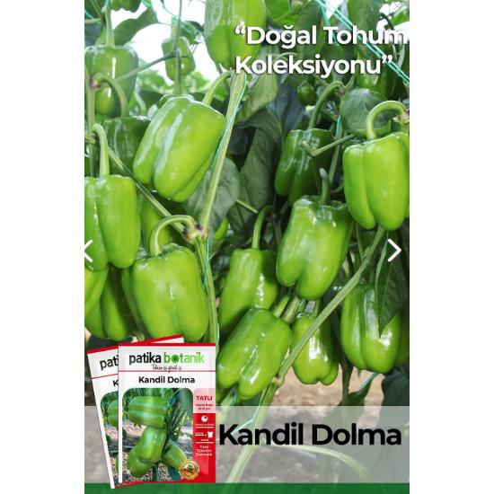 150 кусочков семян предков, местный фаршированный перец кандиль
150 кусочков семян предков, местный фаршированный перец кандиль