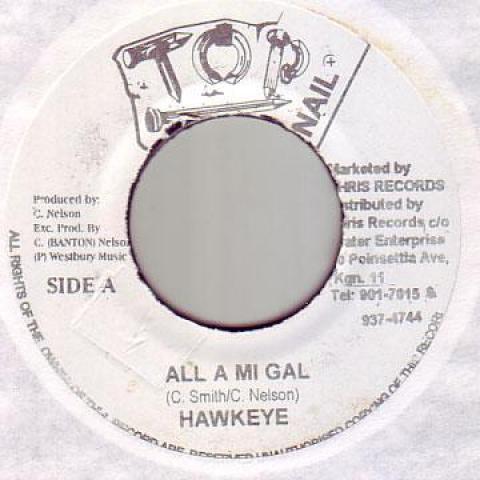 7-дюймовая пластинка HAWKEYE - All A Mi Gal Top Nail 2000 Ямайка Регги, Ска и Даб
7-дюймовая пластинка HAWKEYE - All A Mi Gal Top Nail 2000 Ямайка Регги, Ска и Даб