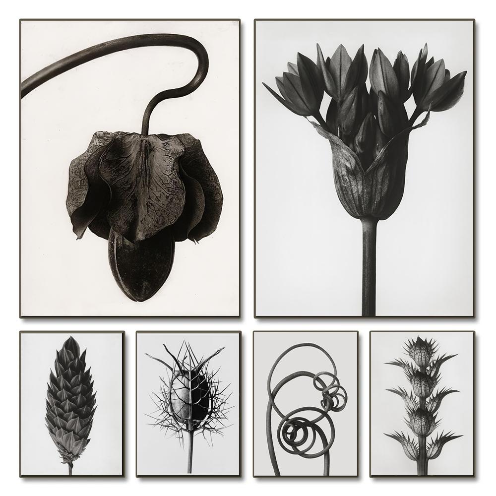 Nordic Plants Posters Prints Black and White Decorative Canvas Painting Wall Art Pictures Minimalist Living Room Home Decoration 21x30cm No Framed
Nordic Plants Posters Prints Black and White Decorative Canvas Painting Wall Art Pictures Minimalist Living Room Home Decoration 21x30cm No Framed