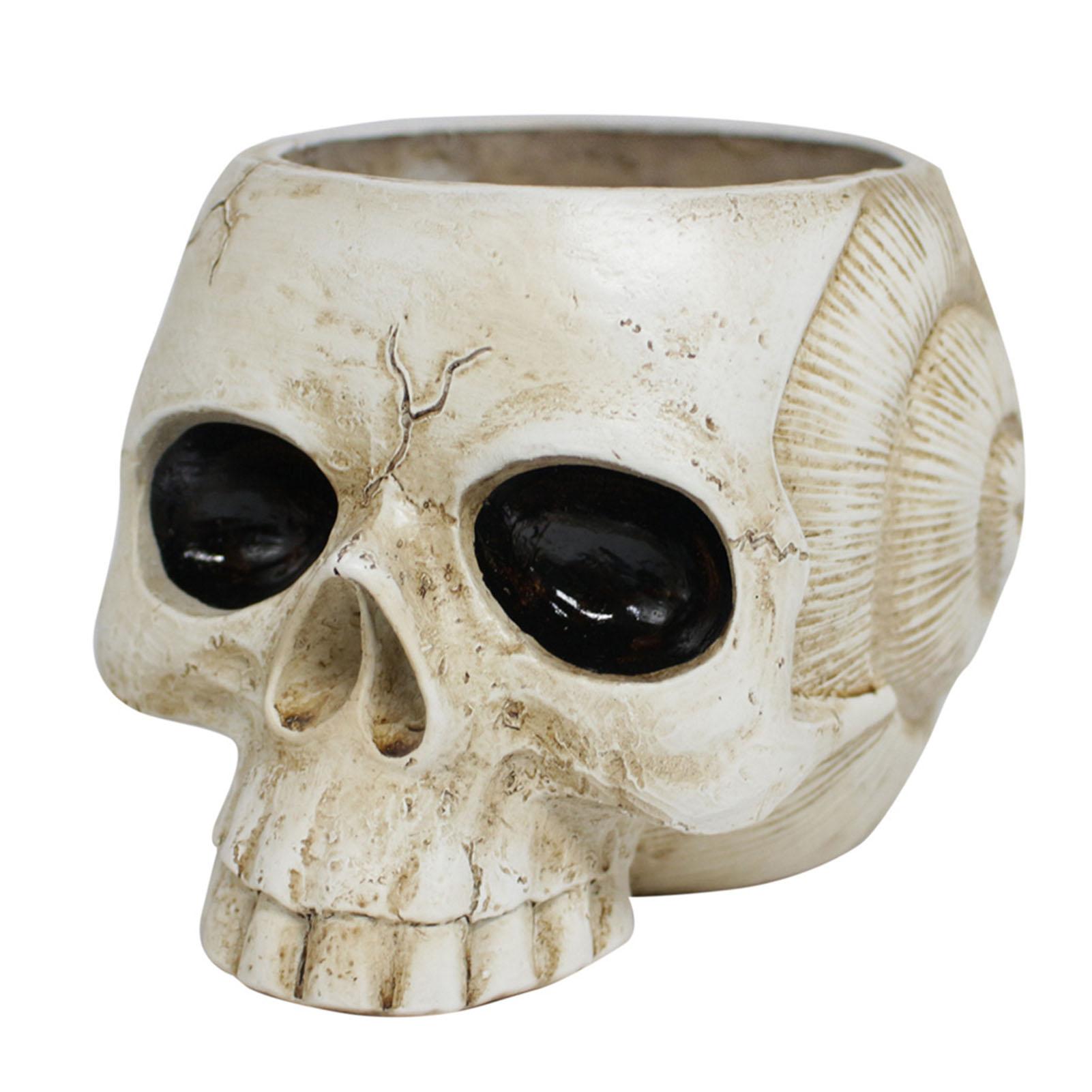Resin Skull Shaped Flower Pot Gothic Succulent Planter Holder Ornament for Home Office Decor
Resin Skull Shaped Flower Pot Gothic Succulent Planter Holder Ornament for Home Office Decor