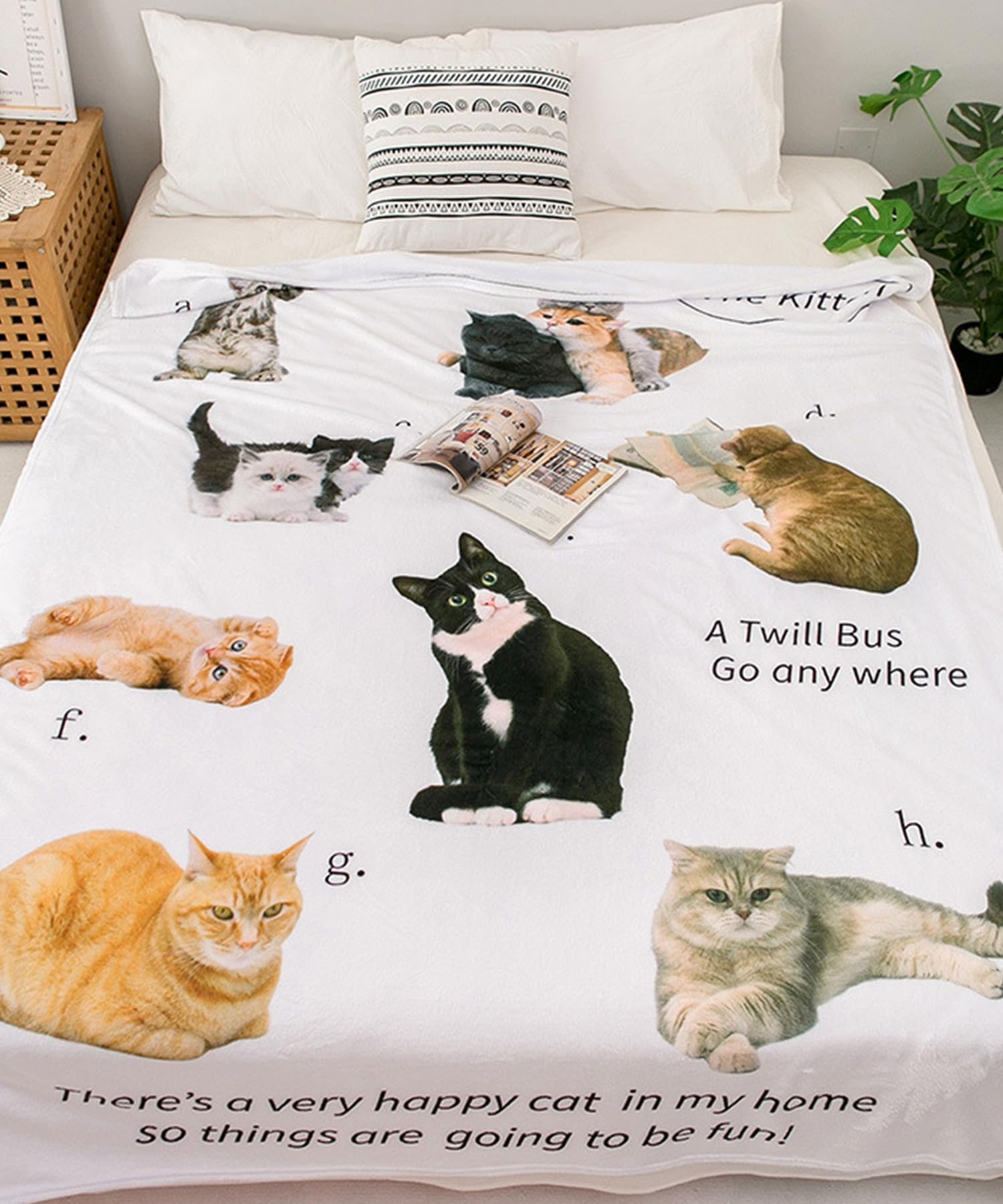 Flannel Cat Modern Stylish Korean Interior Knee Social Korean Smooth Flannel Blanket Blanket, Multi-Cover, Design, Natural, Rug, Carpet, Cute,
Flannel Cat Modern Stylish Korean Interior Knee Social Korean Smooth Flannel Blanket Blanket, Multi-Cover, Design, Natural, Rug, Carpet, Cute,