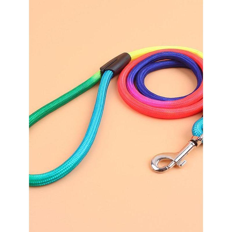 Новинка Зоотовары Тедди Маленькие и Средние Собаки Красочный Нейлоновый Круглый Ручной Поводок Артефакт для Выгула Собак Color traction rope medium M:1.0cm * 1.2M
Новинка Зоотовары Тедди Маленькие и Средние Собаки Красочный Нейлоновый Круглый Ручной Поводок Артефакт для Выгула Собак Color traction rope medium M:1.0cm * 1.2M