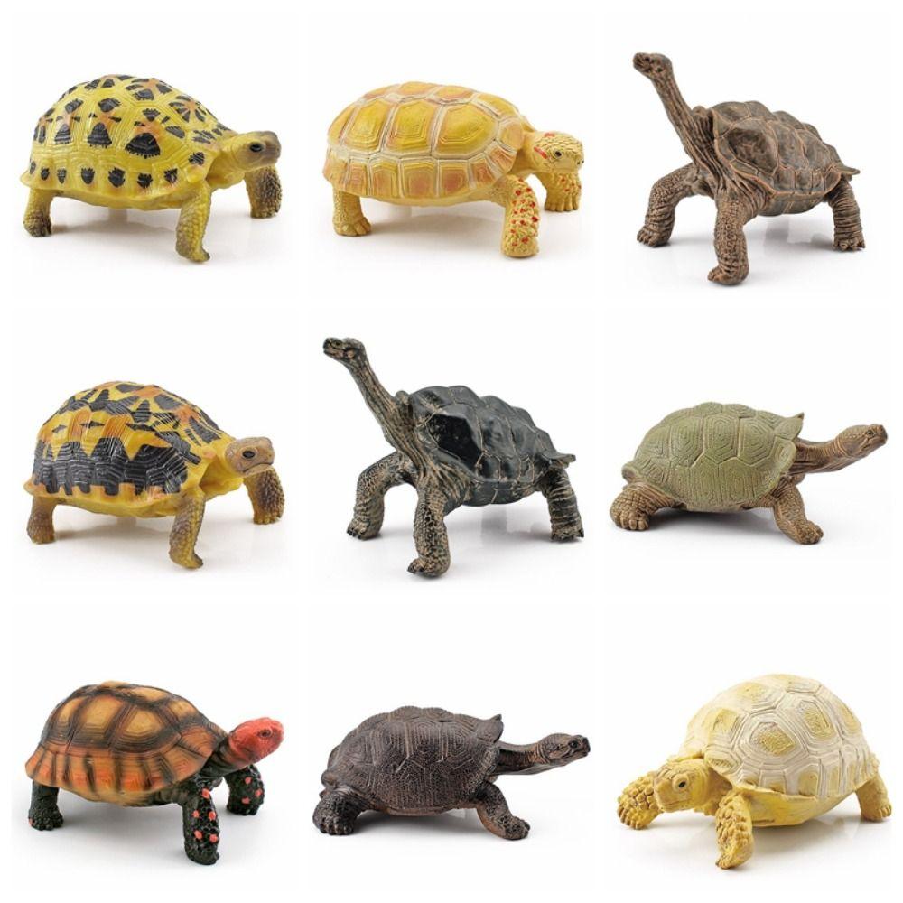 Leatherback Tortoise Sea Turtle Model Simulation Tortoise Animals Figurines Kid Toy Style 3
Leatherback Tortoise Sea Turtle Model Simulation Tortoise Animals Figurines Kid Toy Style 3