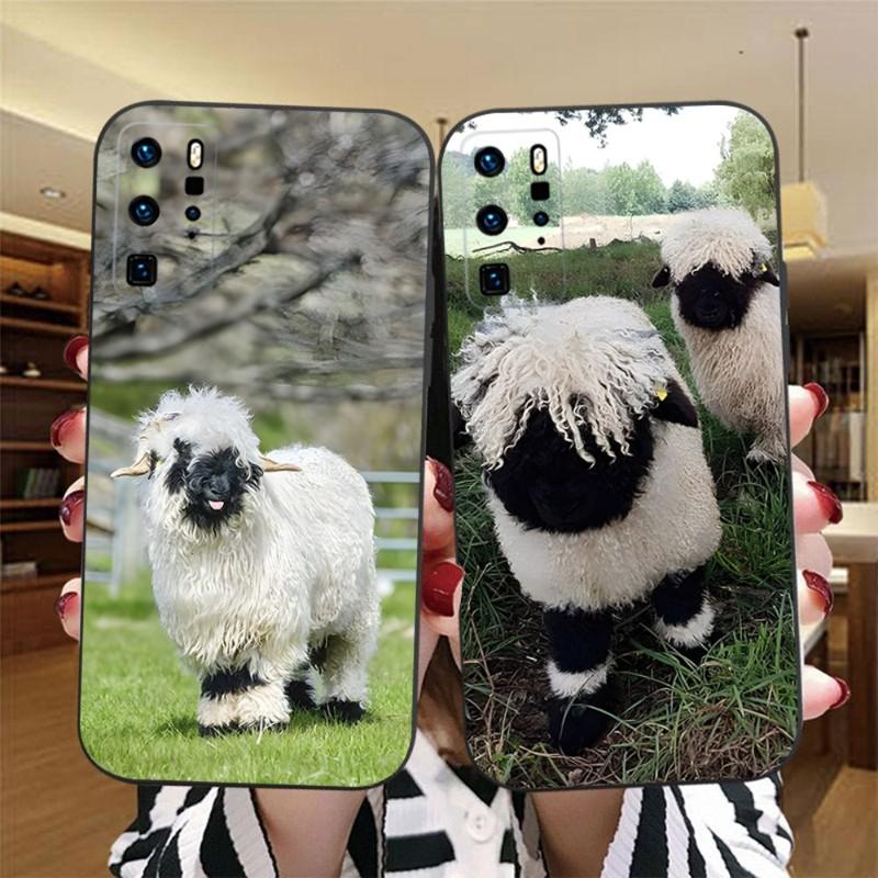 Чехол для телефона Ovis Aries для OPPO Reno 6 Pro 7 Find X3 Neo A55 X5 A54 A16 A57 K9 K9S A92 A93 A74 A94, задняя крышка OPPOA16
Чехол для телефона Ovis Aries для OPPO Reno 6 Pro 7 Find X3 Neo A55 X5 A54 A16 A57 K9 K9S A92 A93 A74 A94, задняя крышка OPPOA16