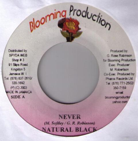 7inch Record NATURAL BLACK - Never NONE Blooming Produc 2003 Jamaica Reggae, Ska & Dub Used
7inch Record NATURAL BLACK - Never NONE Blooming Produc 2003 Jamaica Reggae, Ska & Dub Used