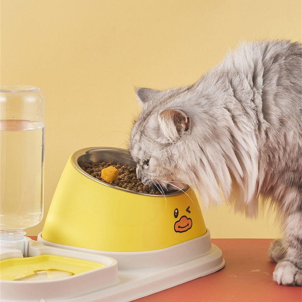Stainless Steel Food Feeding Bowls Protect The Cervical Spine Pet Dogs Cats Feeders Kitten Puppy
Stainless Steel Food Feeding Bowls Protect The Cervical Spine Pet Dogs Cats Feeders Kitten Puppy