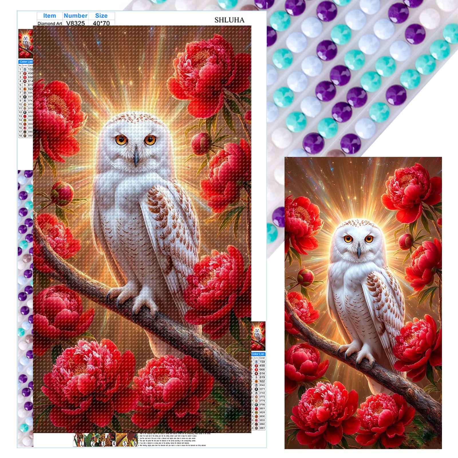 Full DIY 5D Round Drill Diamond Art Kits for Adults Beginner Home Wall Decor Diamond Dots Paintings Picture Arts Craft 40x70cm
Full DIY 5D Round Drill Diamond Art Kits for Adults Beginner Home Wall Decor Diamond Dots Paintings Picture Arts Craft 40x70cm