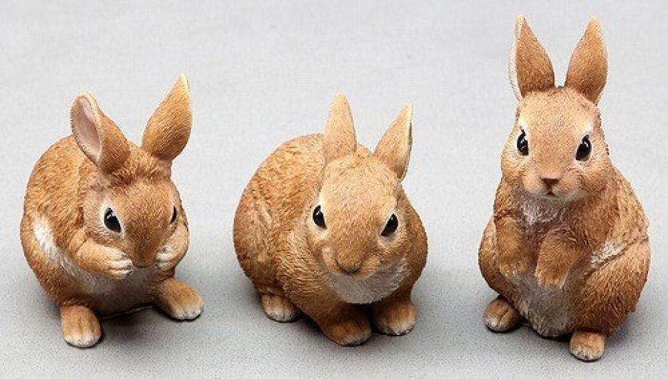 Nogawa Farm Mini Friend Rabbit types (3 assorted)
Nogawa Farm Mini Friend Rabbit types (3 assorted)